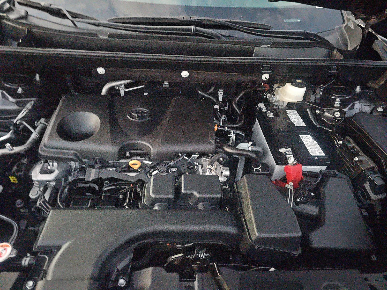 2024 Toyota RAV4 XLE AWD