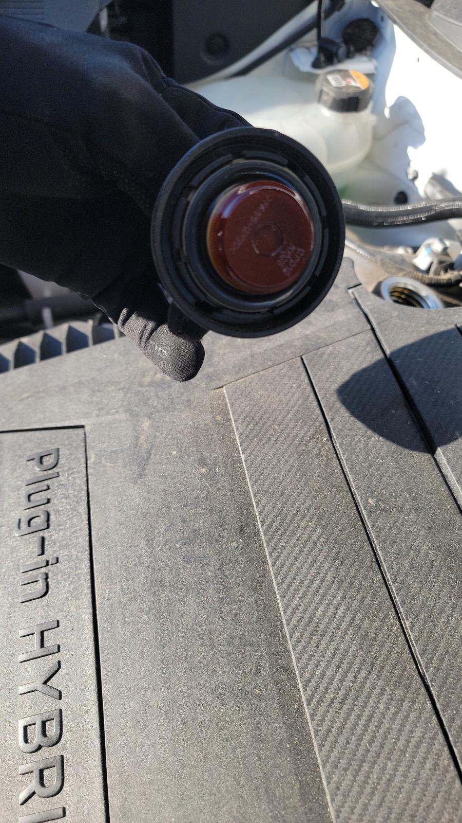 2019 Kia Niro PHEV EX Premium FWD