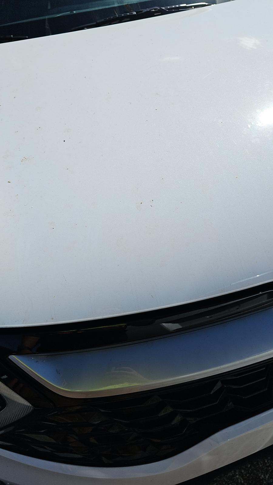 2025 Kia Sportage EX FWD