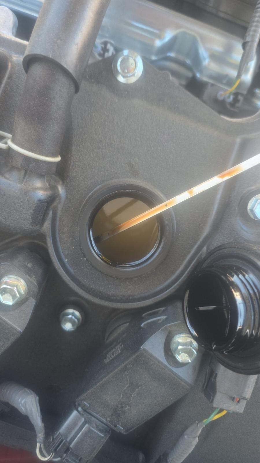 2025 Toyota Corolla Hybrid SE FWD