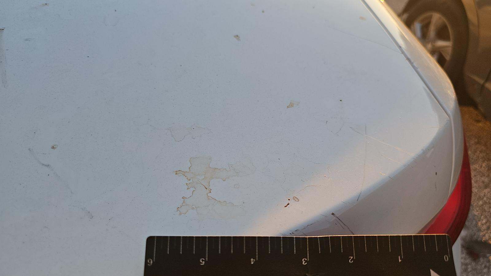 2025 BMW 3 Series 330i xDrive AWD