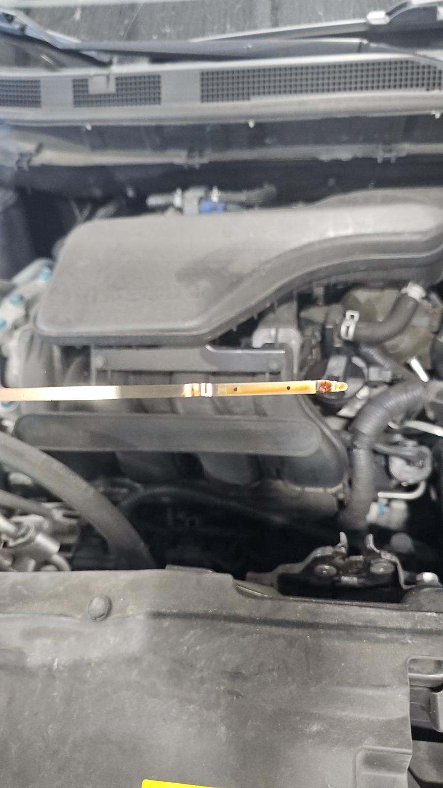 2020 Nissan Rogue Sport SV FWD