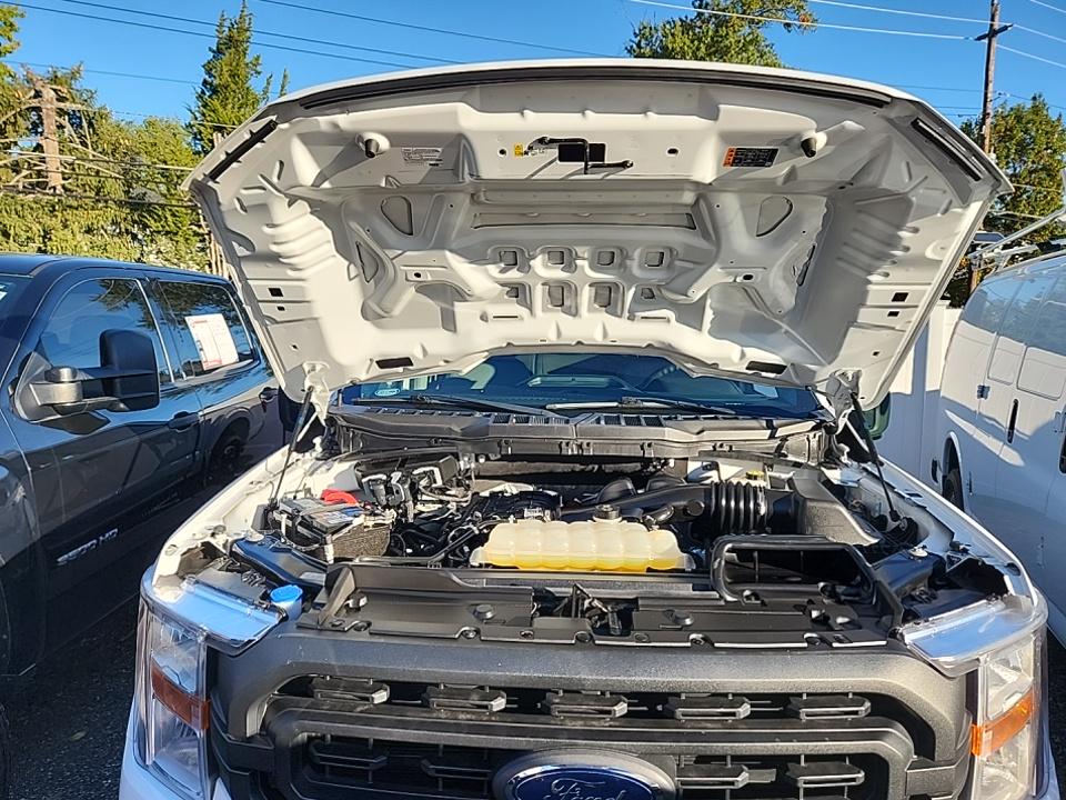 2022 Ford F-150 XL AWD