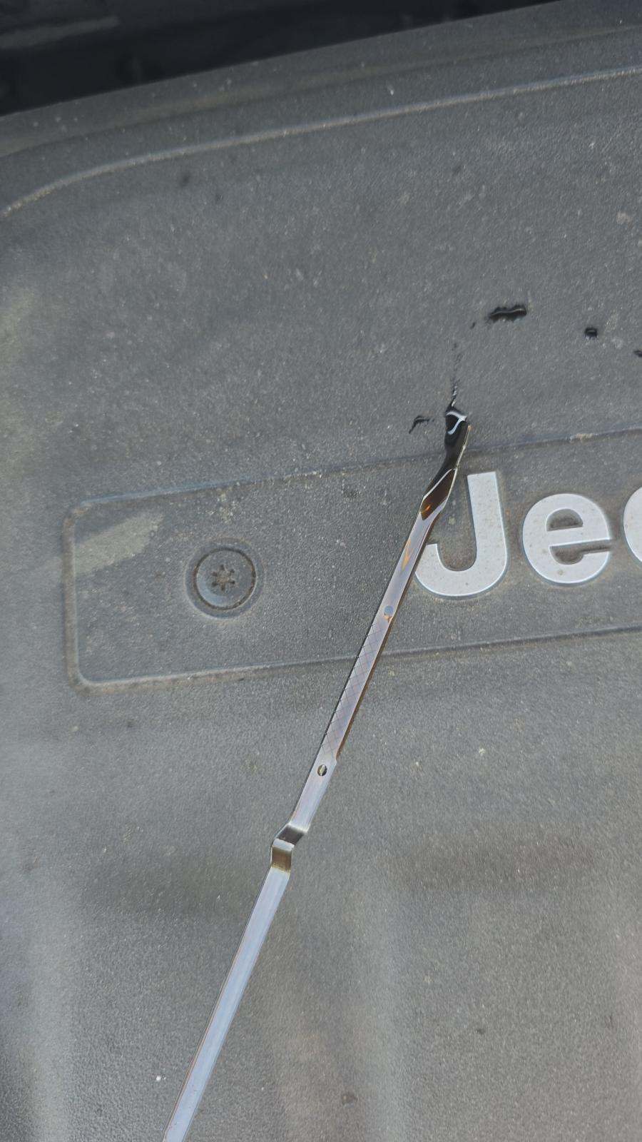 2019 Jeep Cherokee Latitude Plus FWD