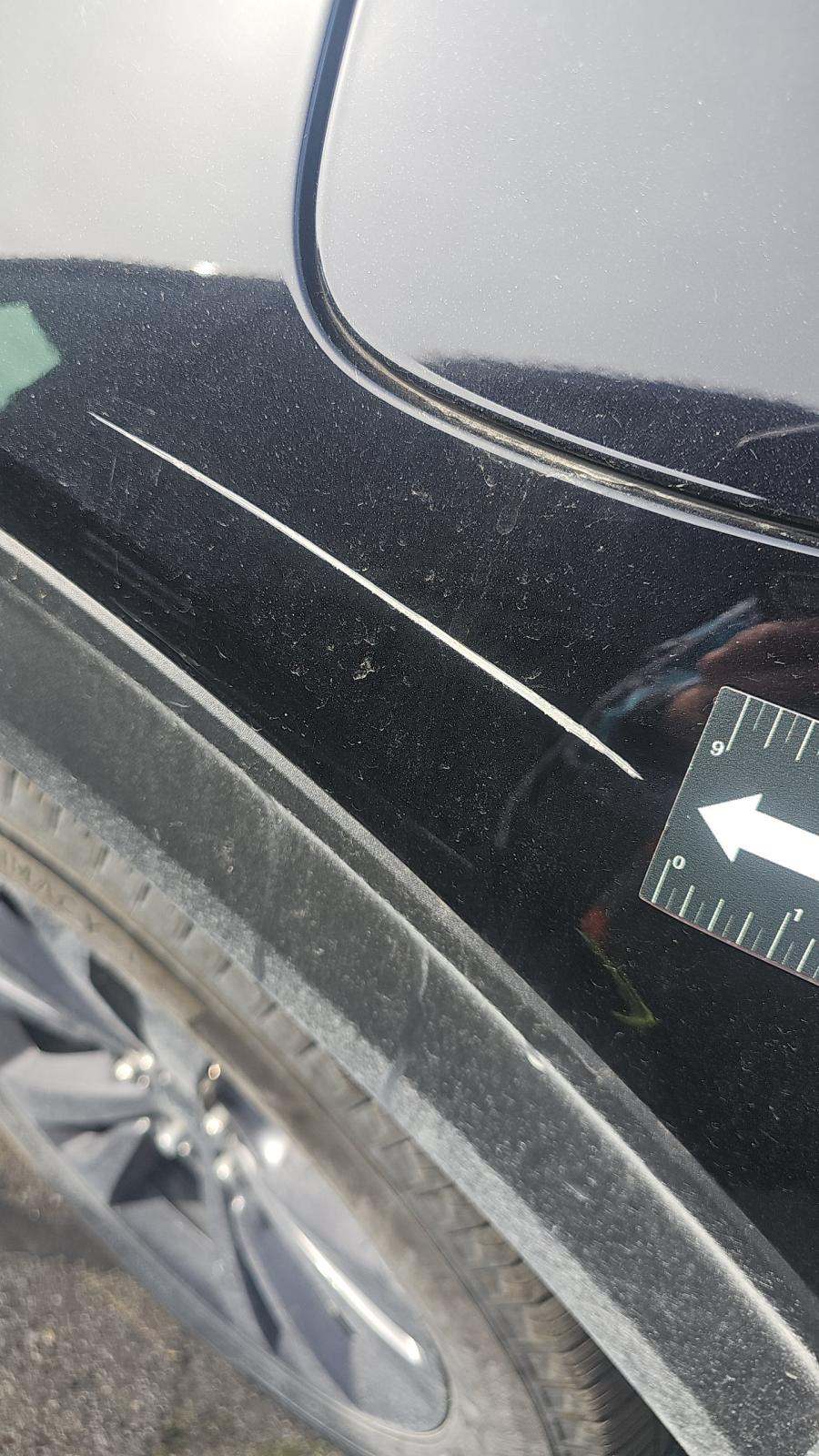 2023 Ford Explorer XLT AWD