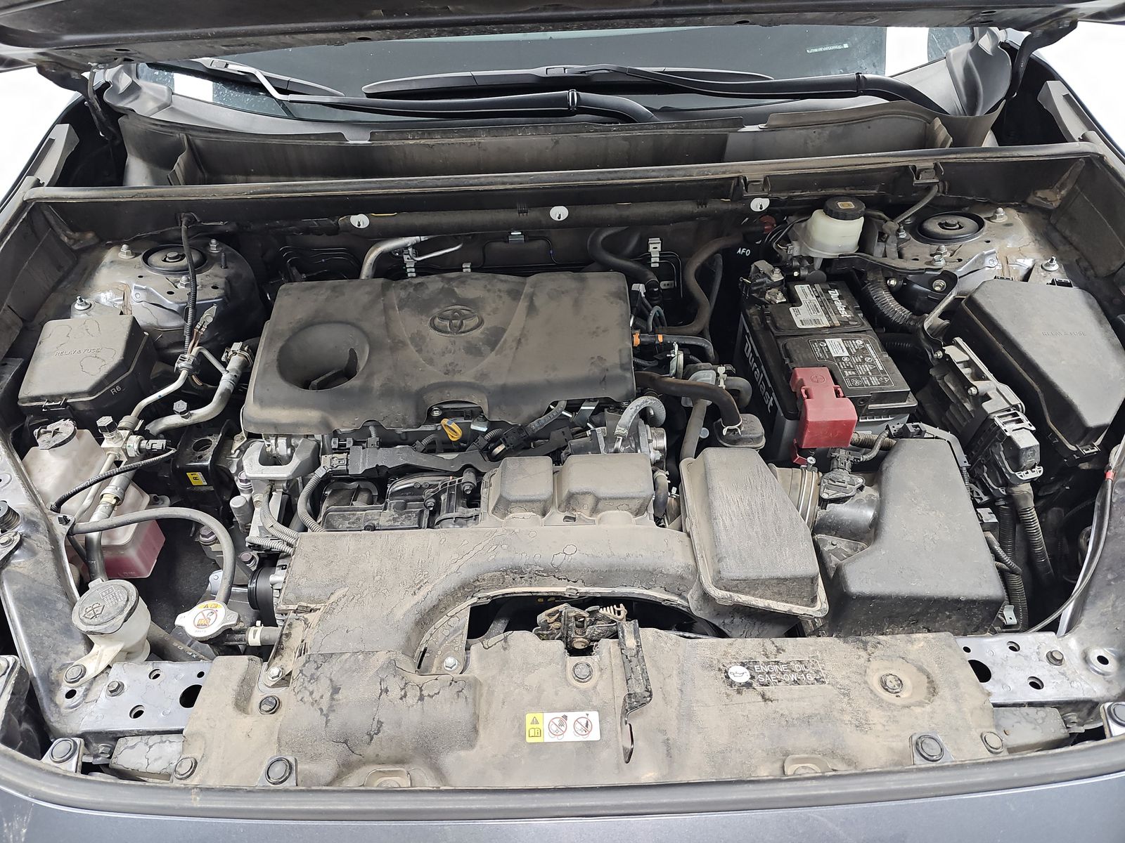 2023 Toyota RAV4 XLE FWD