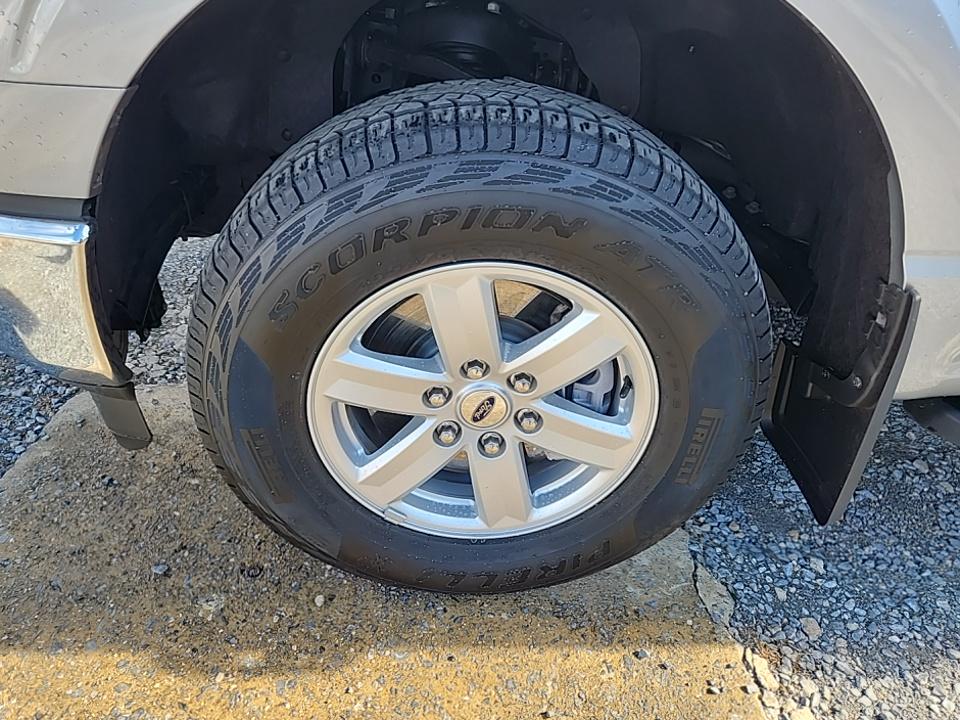 2023 Ford F-150 XLT AWD