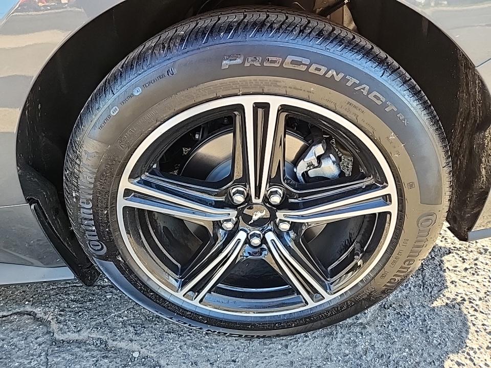 2025 Ford Mustang EcoBoost Premium RWD