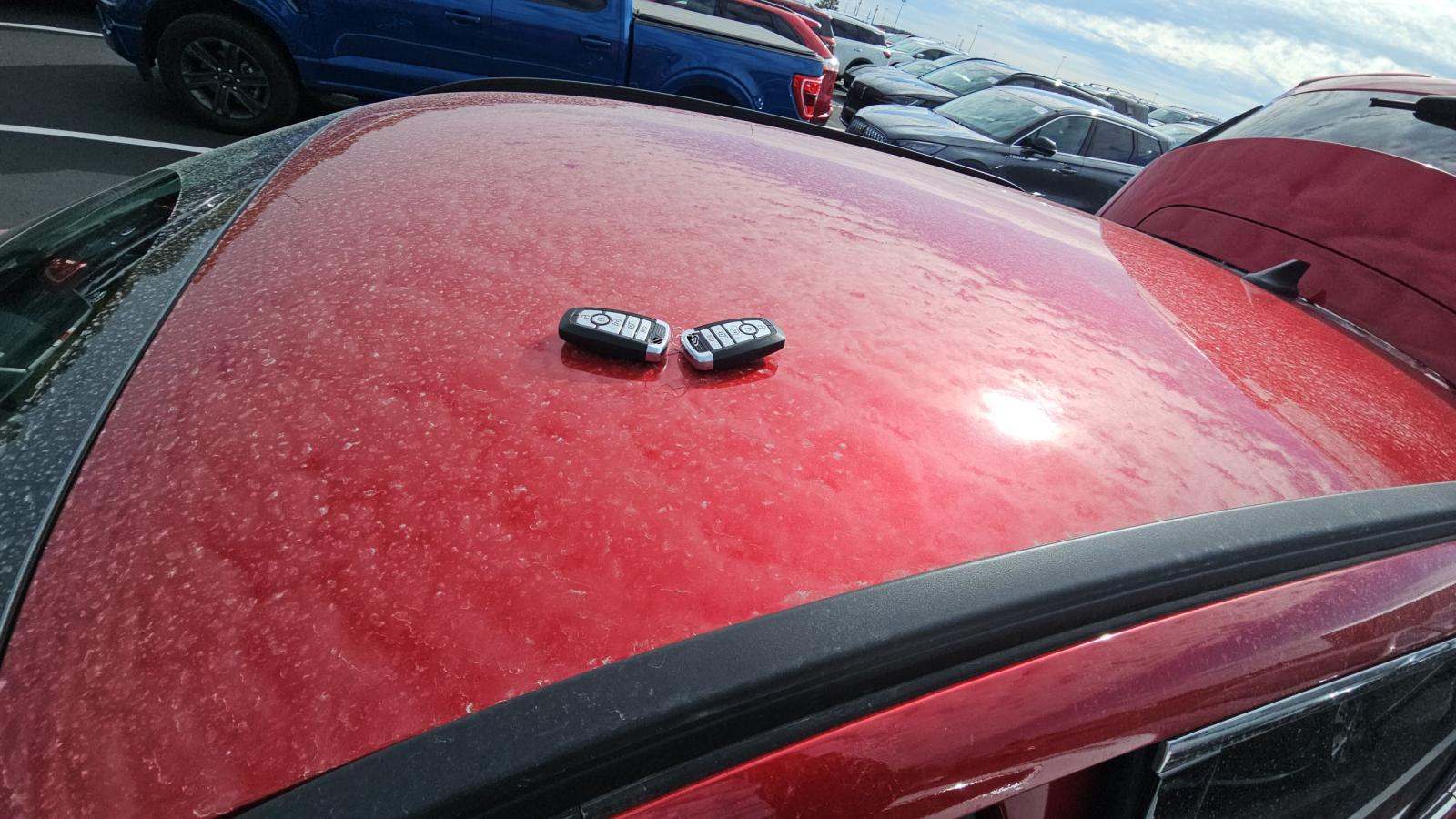 2025 Ford Escape Plug-In Hybrid FWD