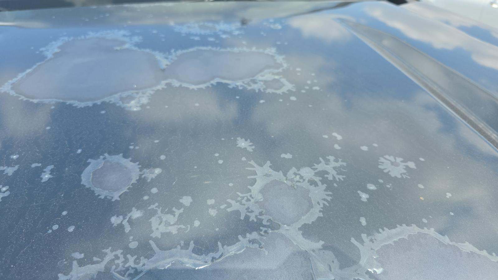 2019 Chevrolet Silverado 1500 LT AWD