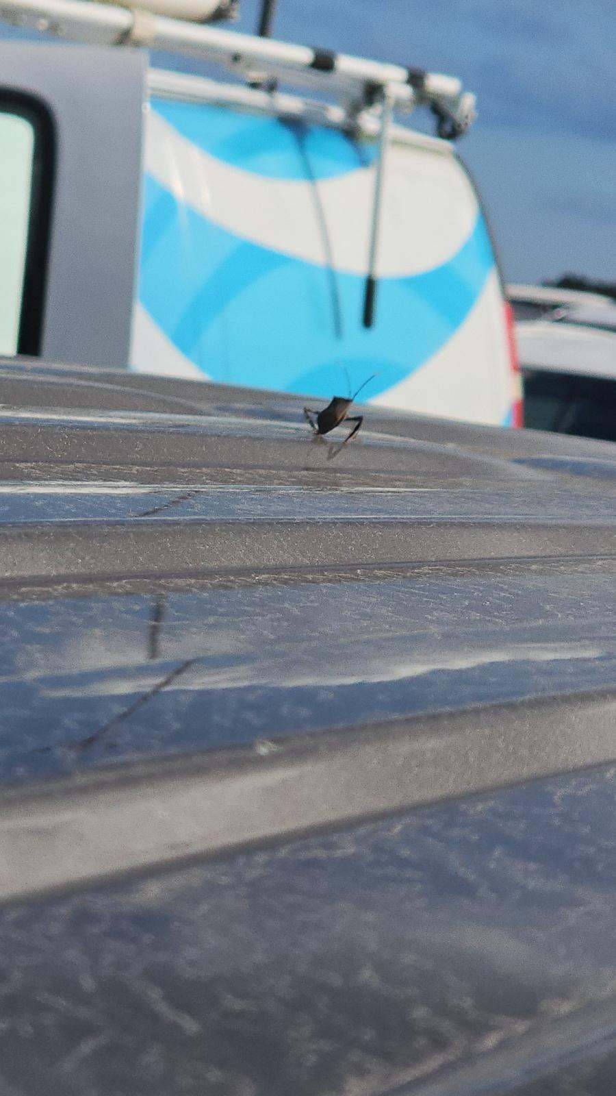 2021 Ford Explorer Limited RWD