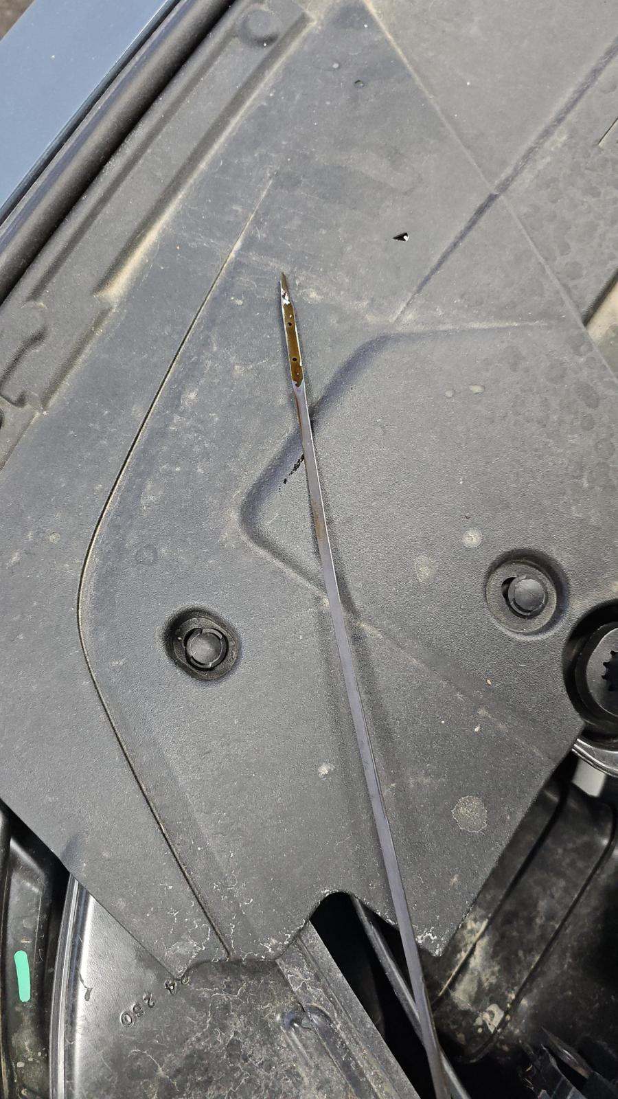 2025 Ford Mustang GT Premium FWD