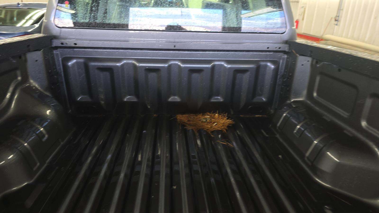 2025 Ford Ranger XL AWD