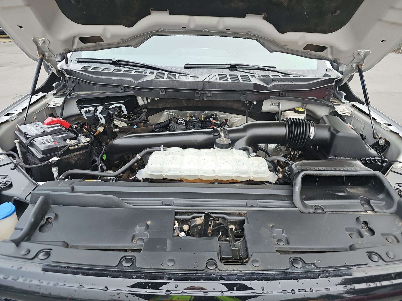 2024 Ford F-150 XLT AWD