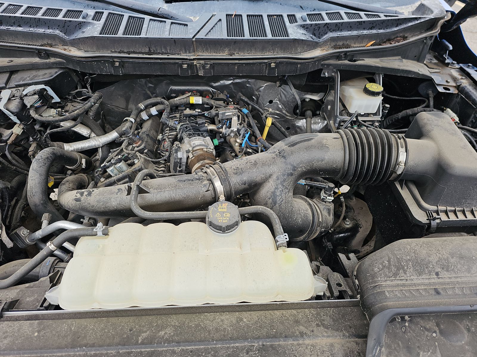 2023 Ford F-150 XLT AWD