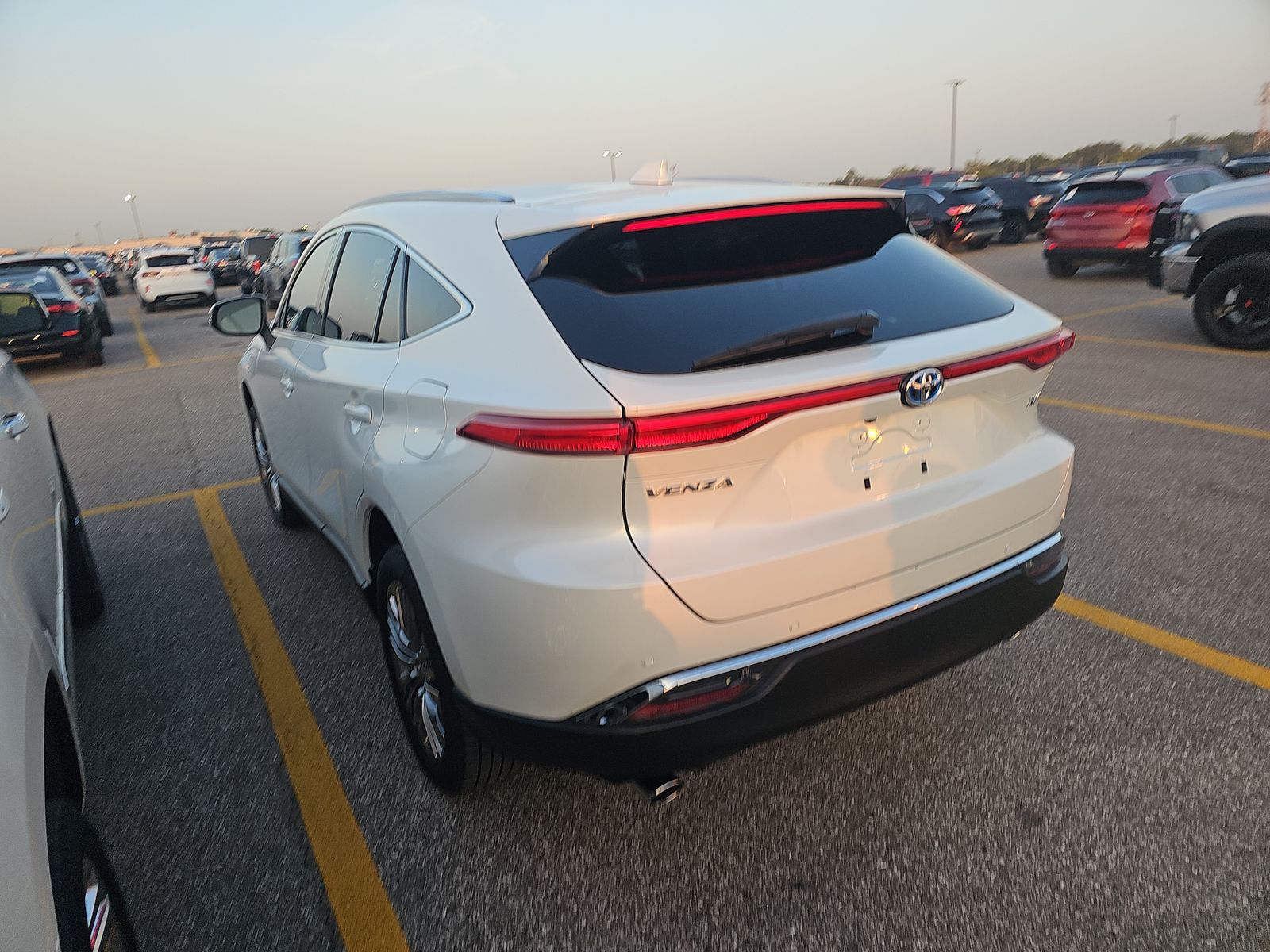 2024 Toyota Venza XLE AWD