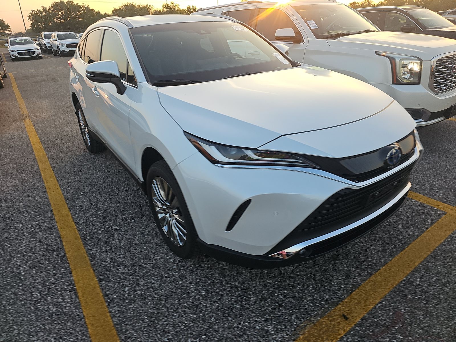 2024 Toyota Venza XLE AWD