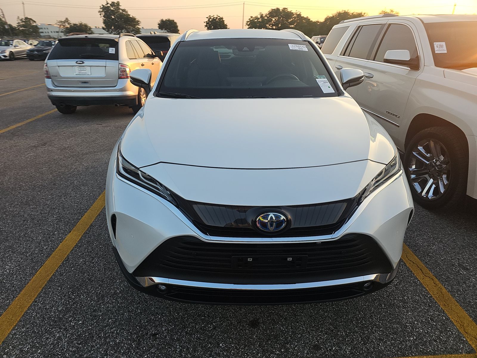 2024 Toyota Venza XLE AWD