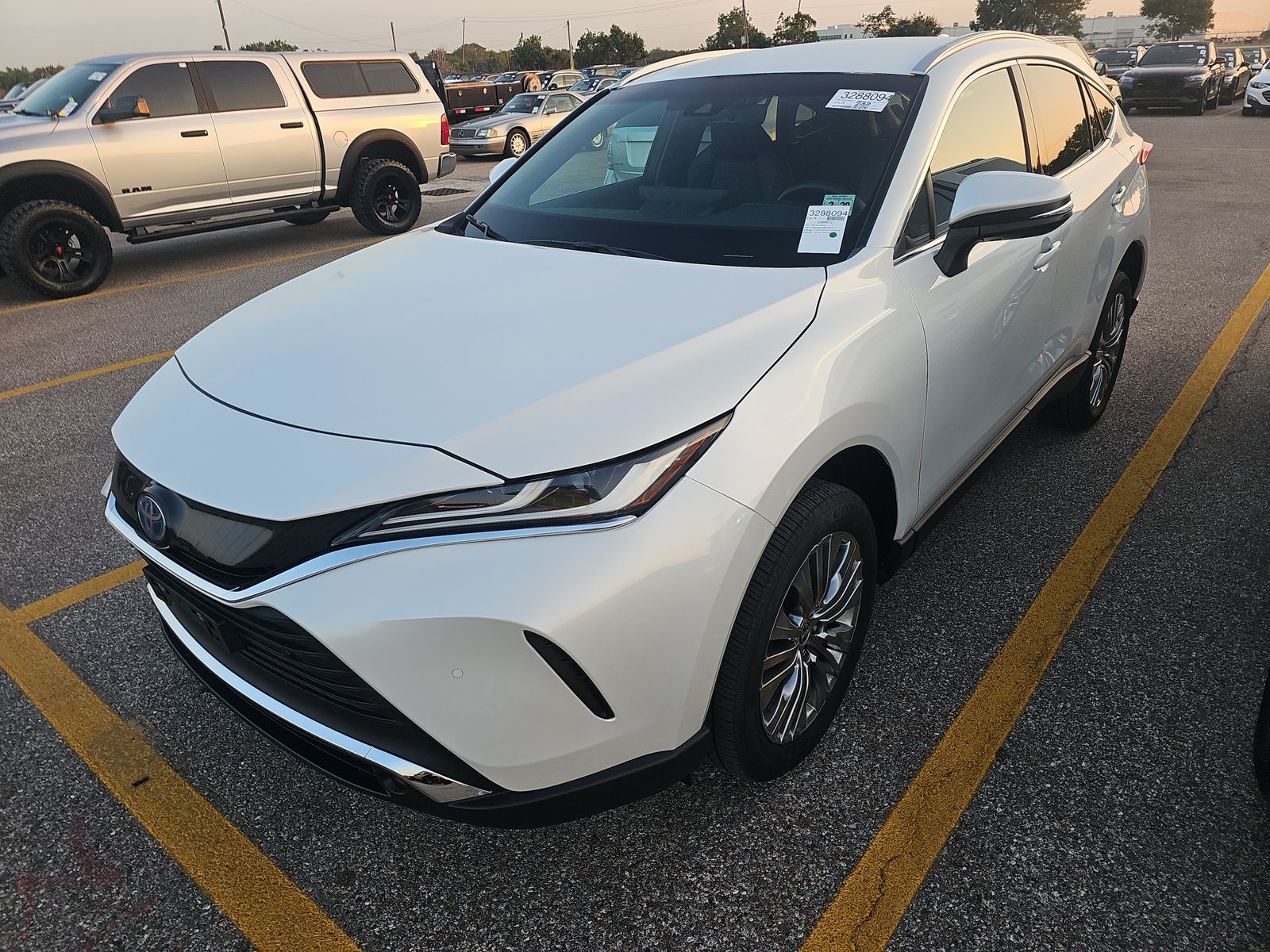 2024 Toyota Venza XLE AWD