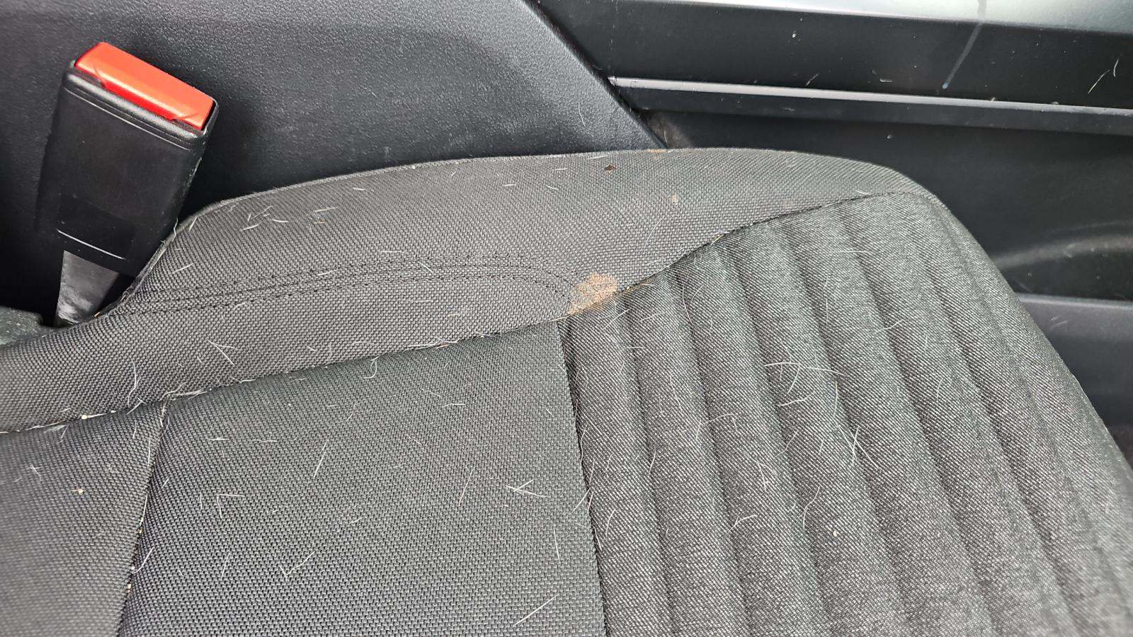 2023 Ford F-150 XL FWD