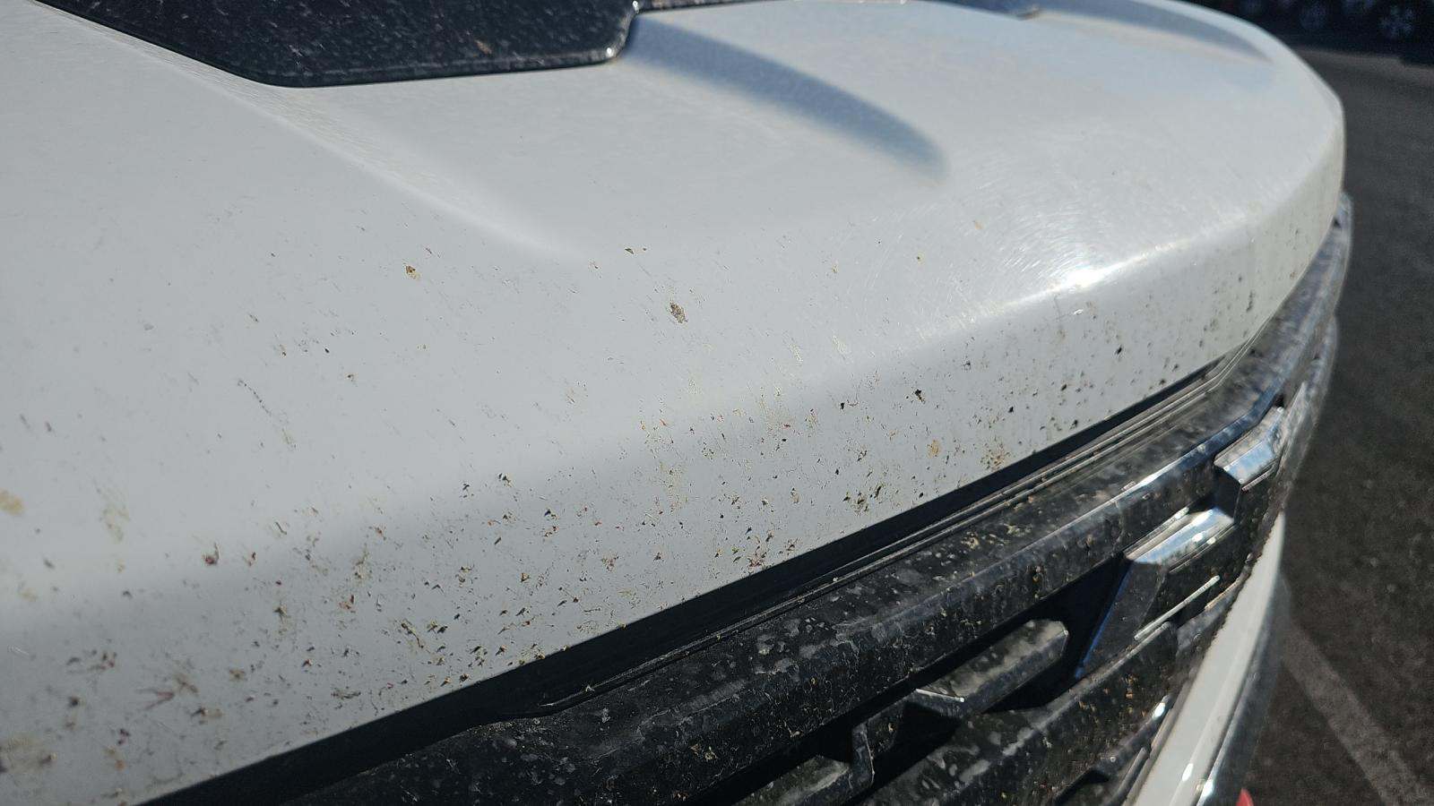 2023 Chevrolet Silverado 1500 LT Trail Boss AWD