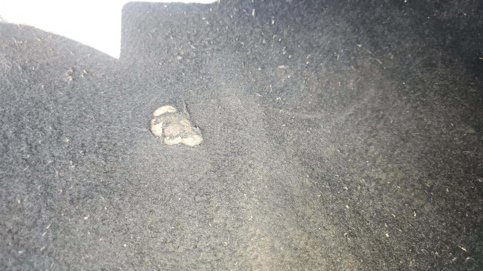 2025 Toyota Camry LE FWD