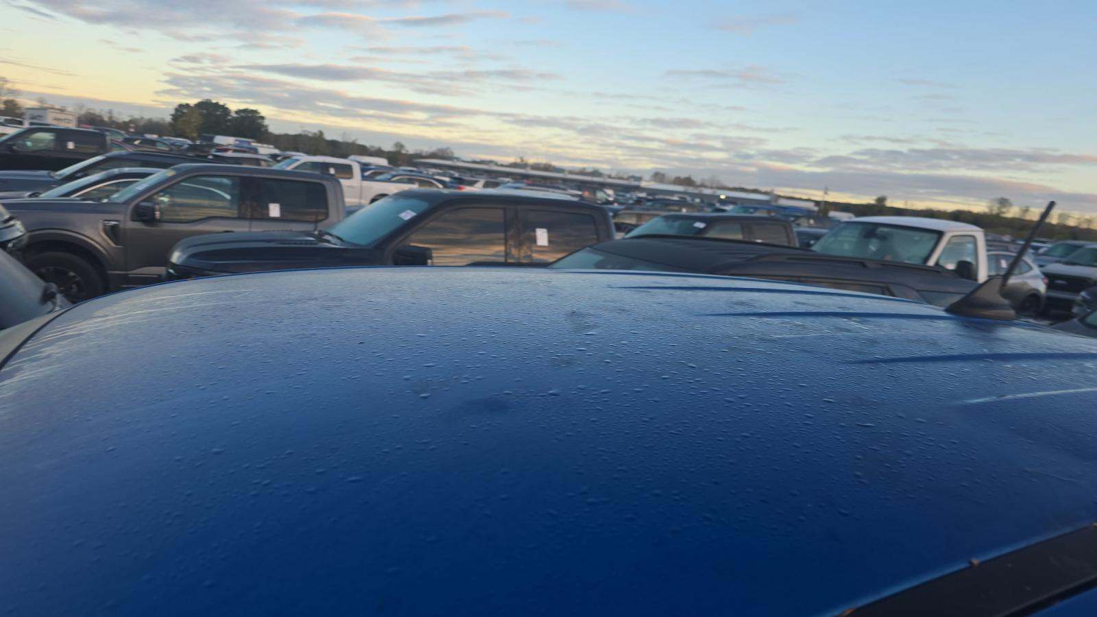 2024 Ford Ranger XLT RWD