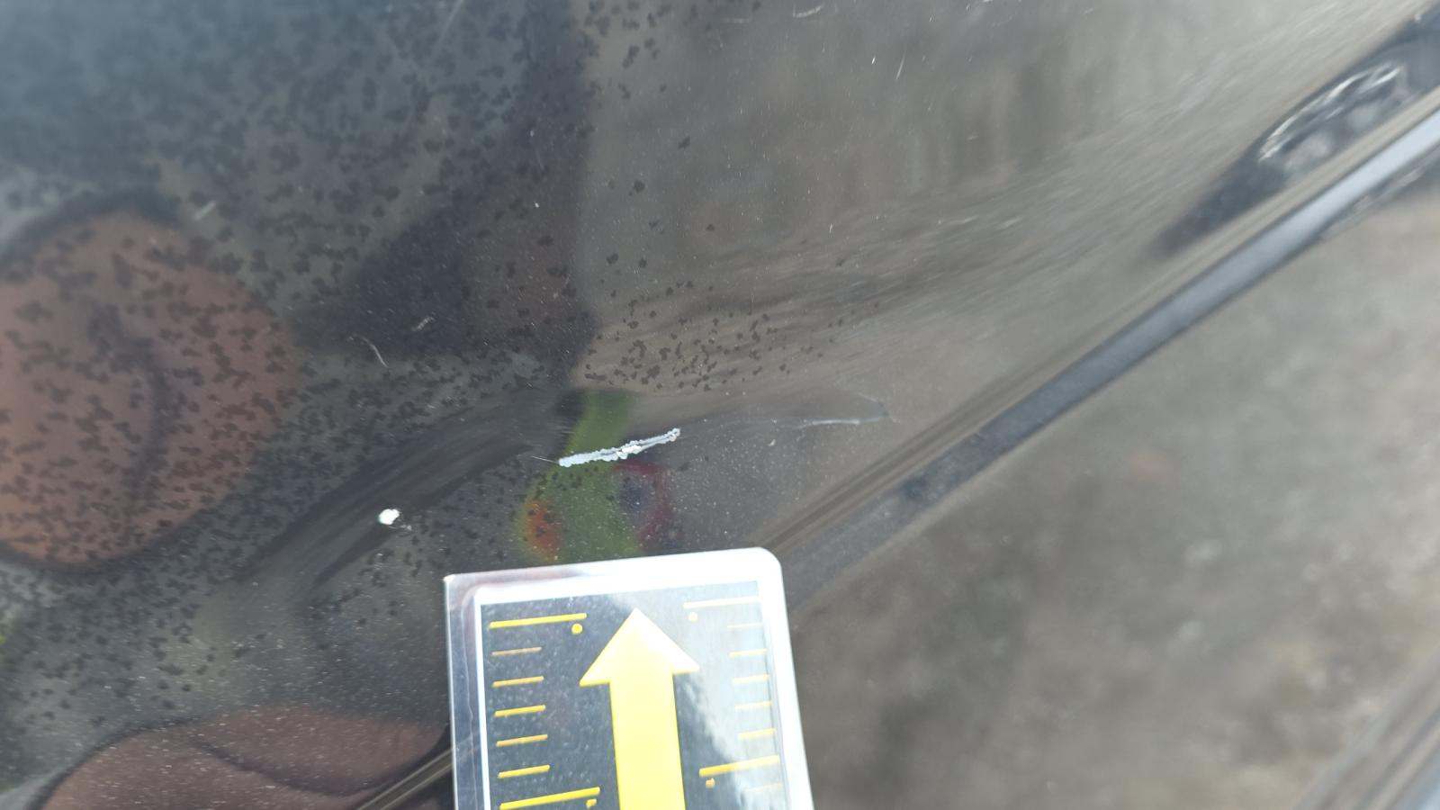 2018 Ford F-150 XLT AWD