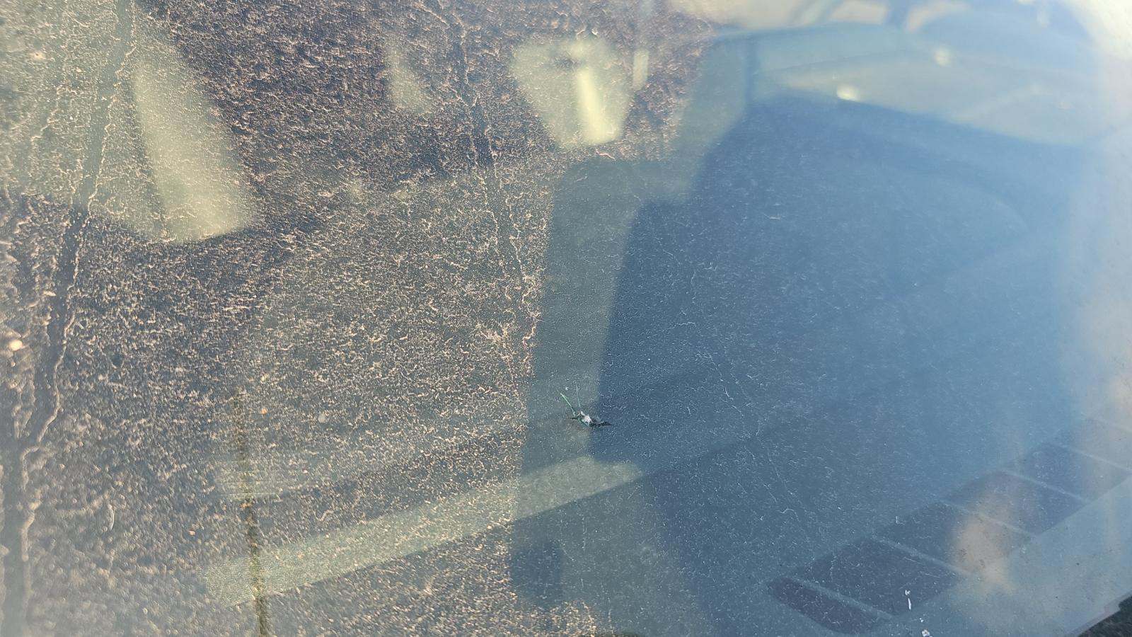 2023 Ford F-150 XL RWD