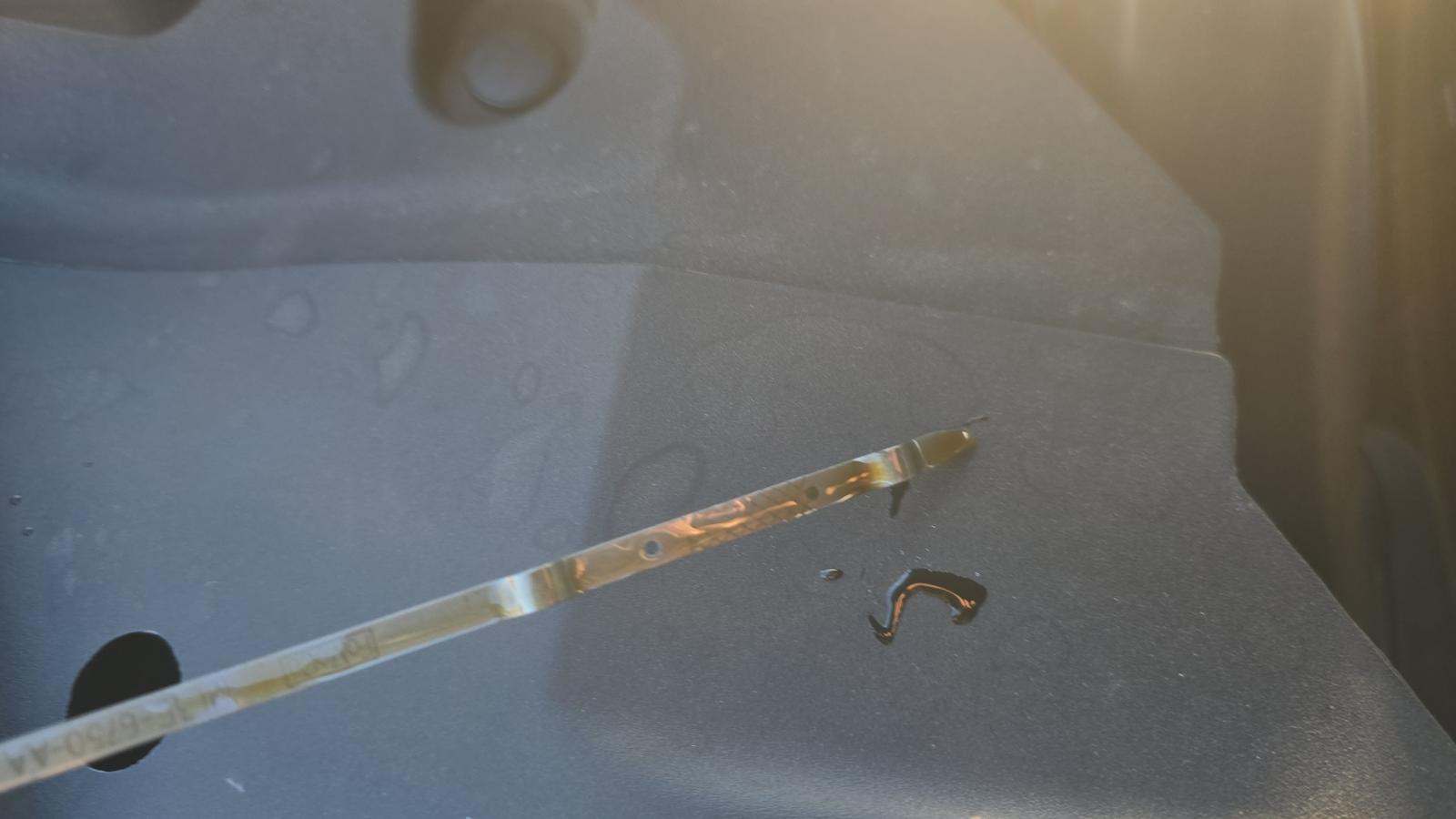 2023 Lincoln Navigator Black Label AWD