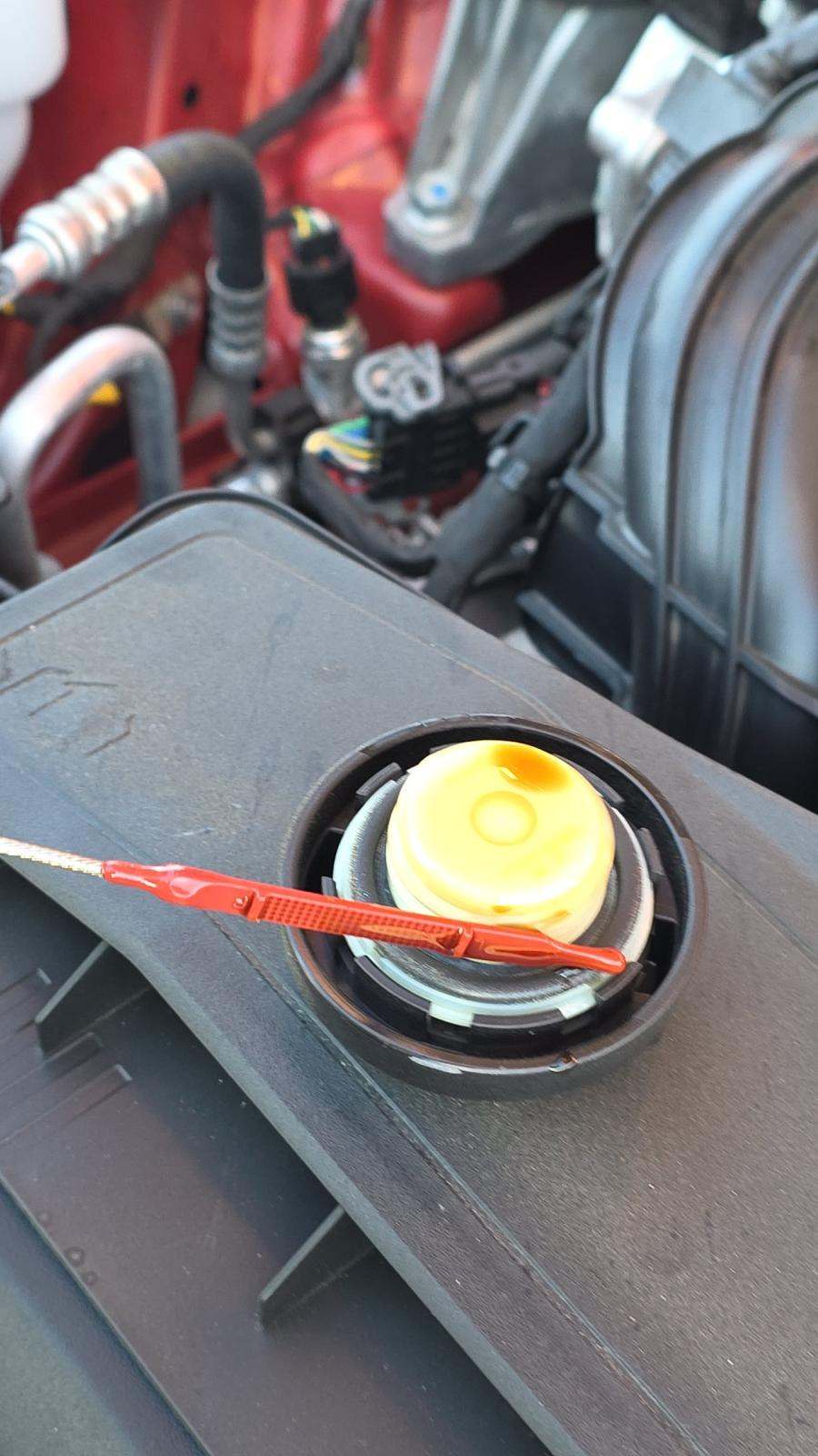 2025 Kia K5 GT-Line FWD