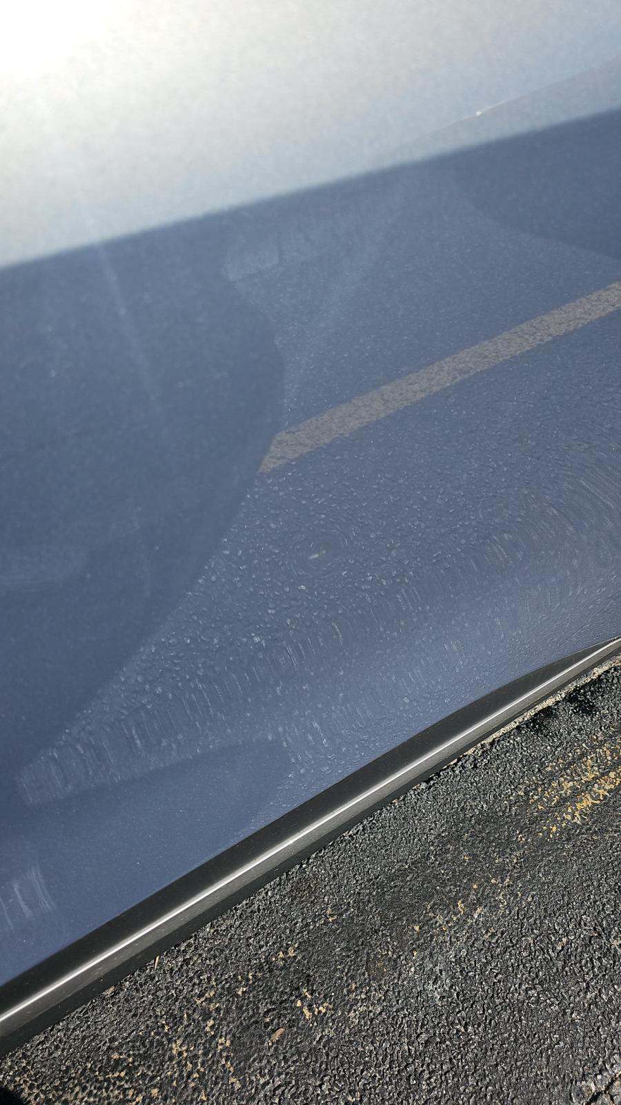 2025 Kia Sportage EX FWD