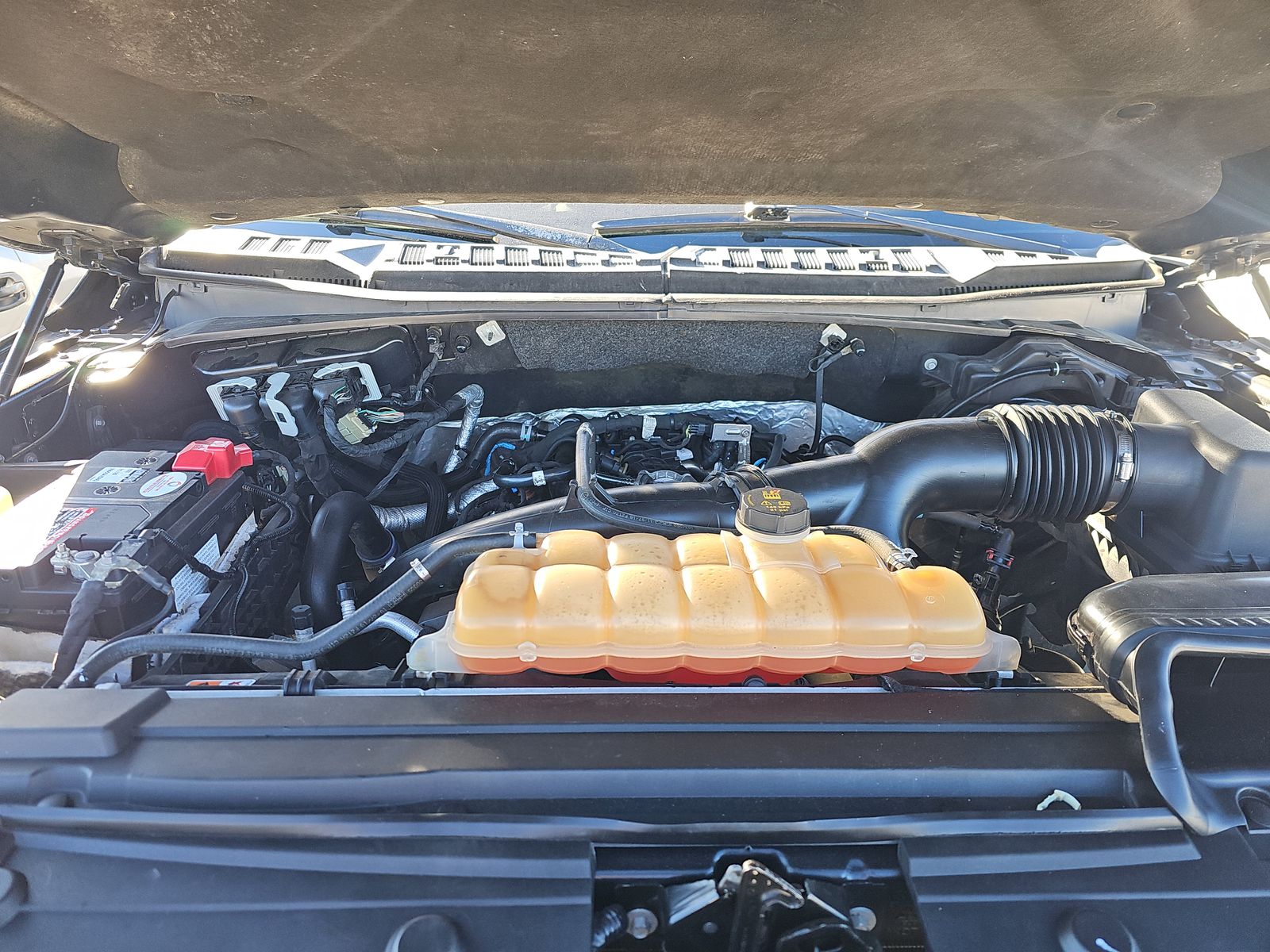 2019 Ford F-150 XLT AWD