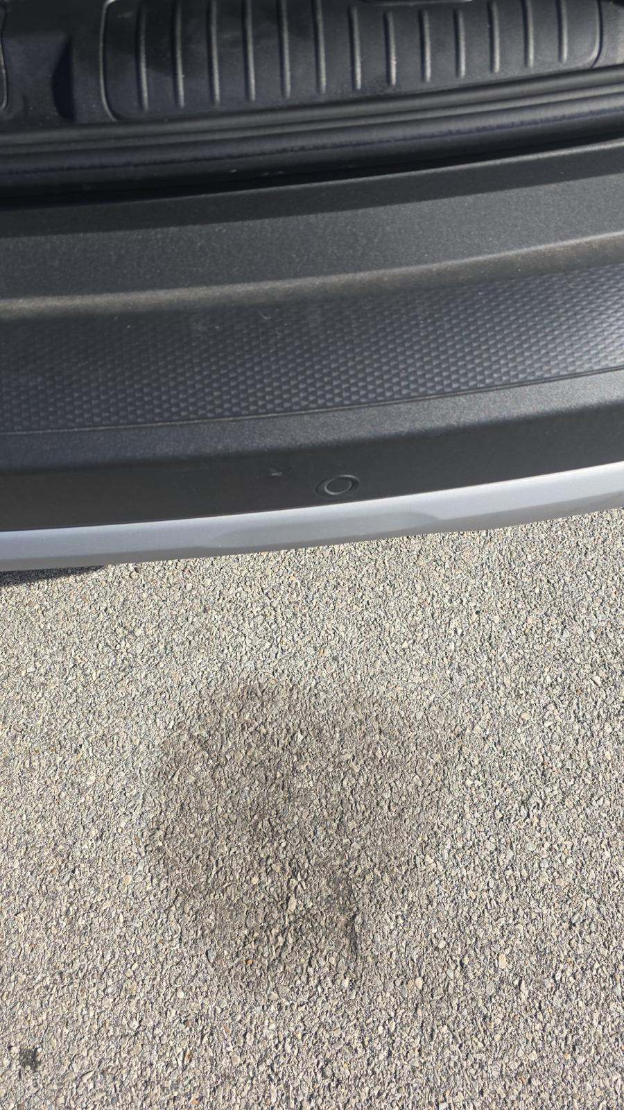 2024 Ford Escape Platinum AWD