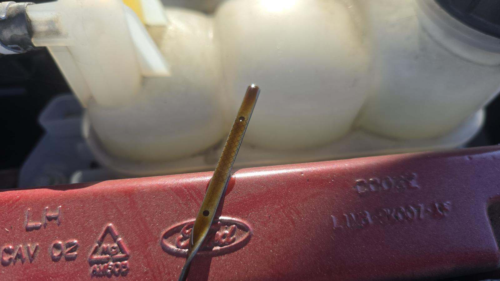 2022 Ford Explorer XLT FWD