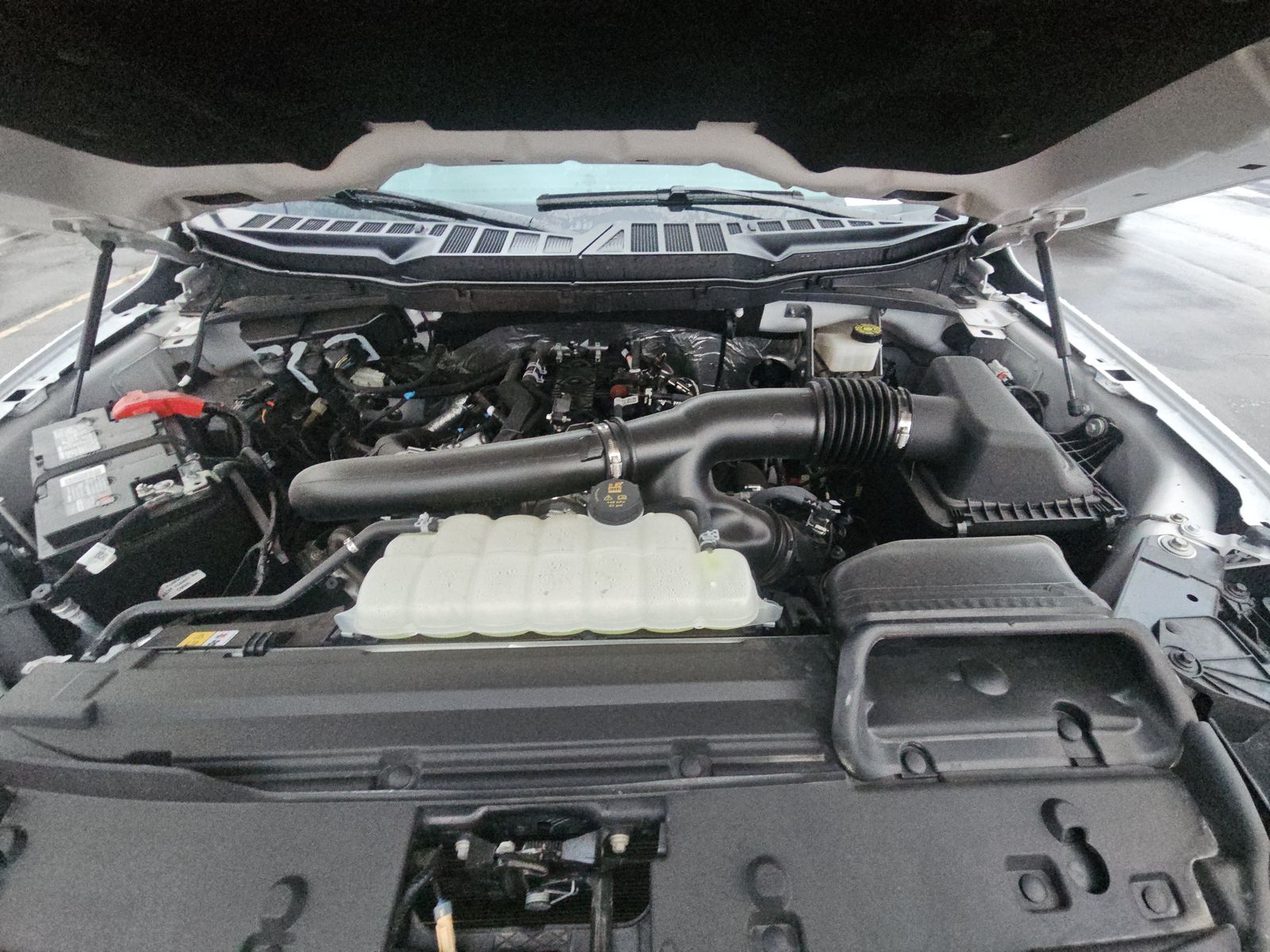 2024 Ford F-150 XLT AWD