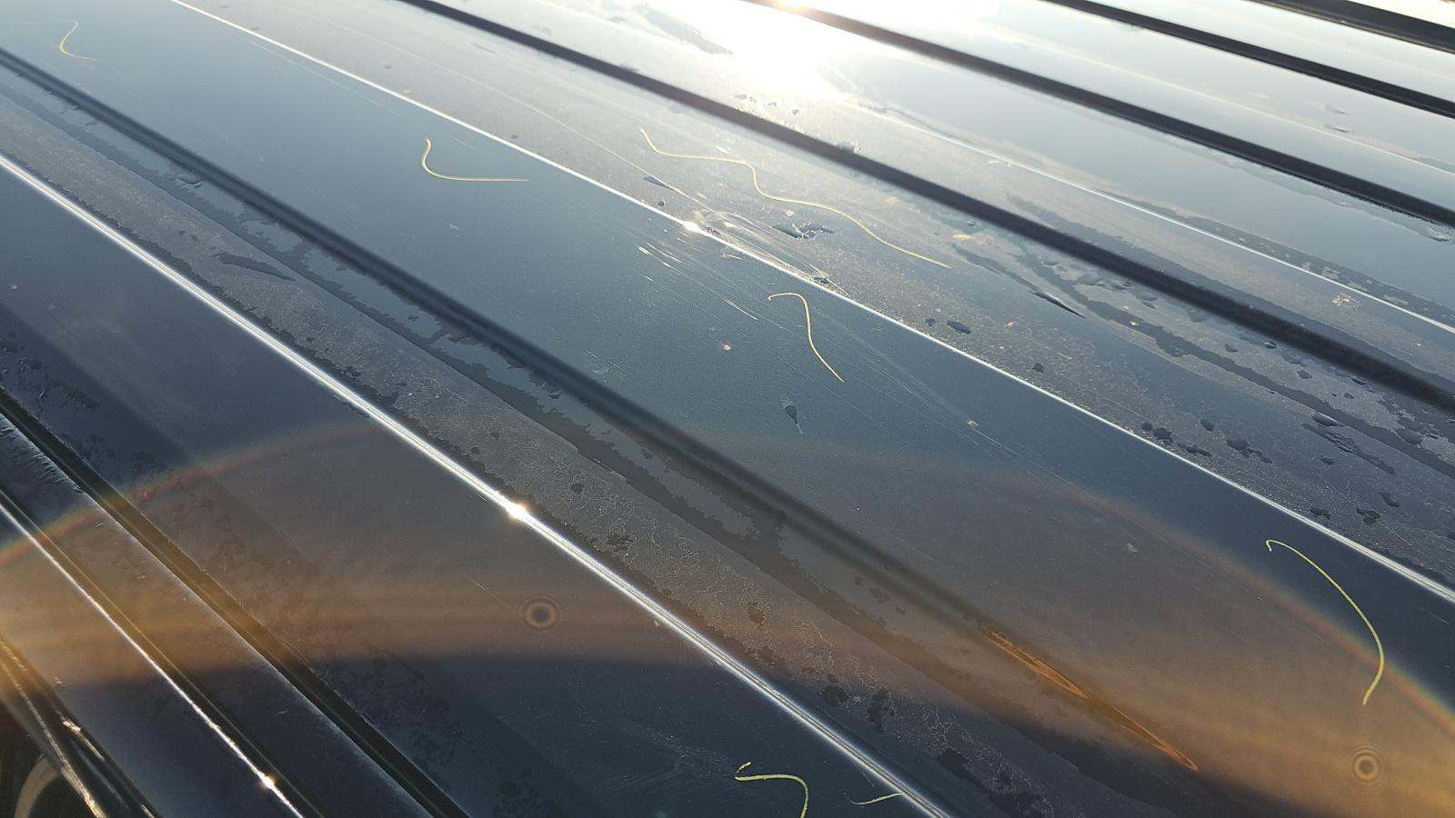 2024 Ford F-150 XL AWD