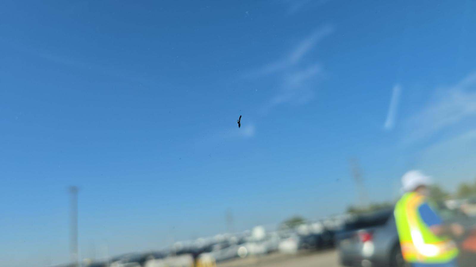 2023 Volkswagen Atlas 3.6L SE FWD