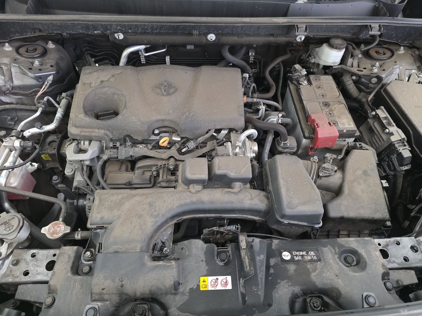 2023 Toyota RAV4 LE AWD