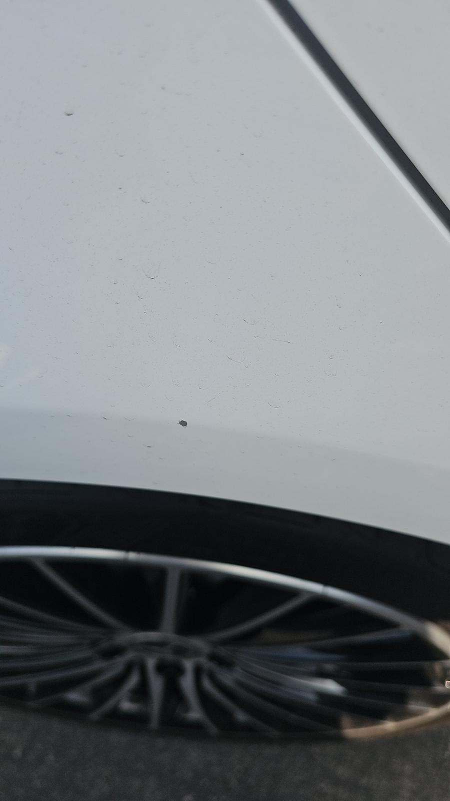 2023 Mercedes-Benz C-Class C 300 RWD