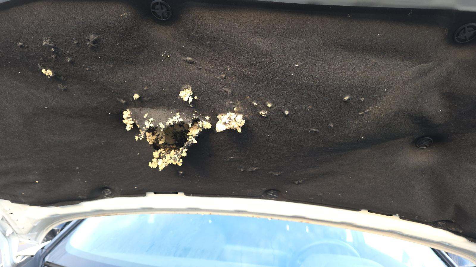 2023 Nissan Rogue SL AWD