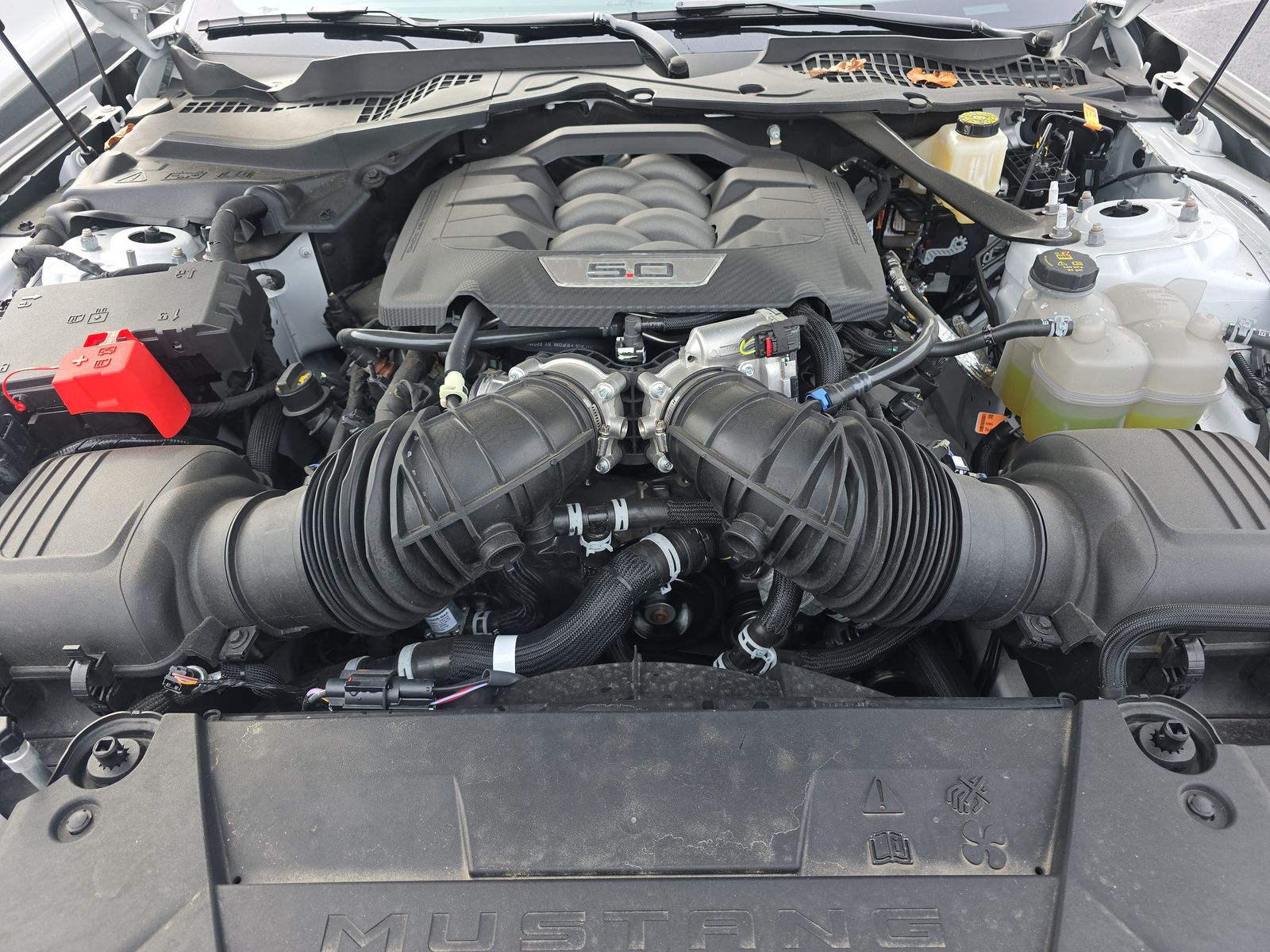 2024 Ford Mustang GT Premium RWD