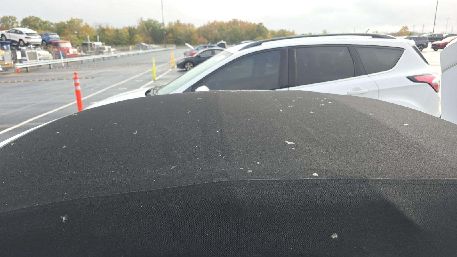 2024 Ford Mustang GT Premium RWD