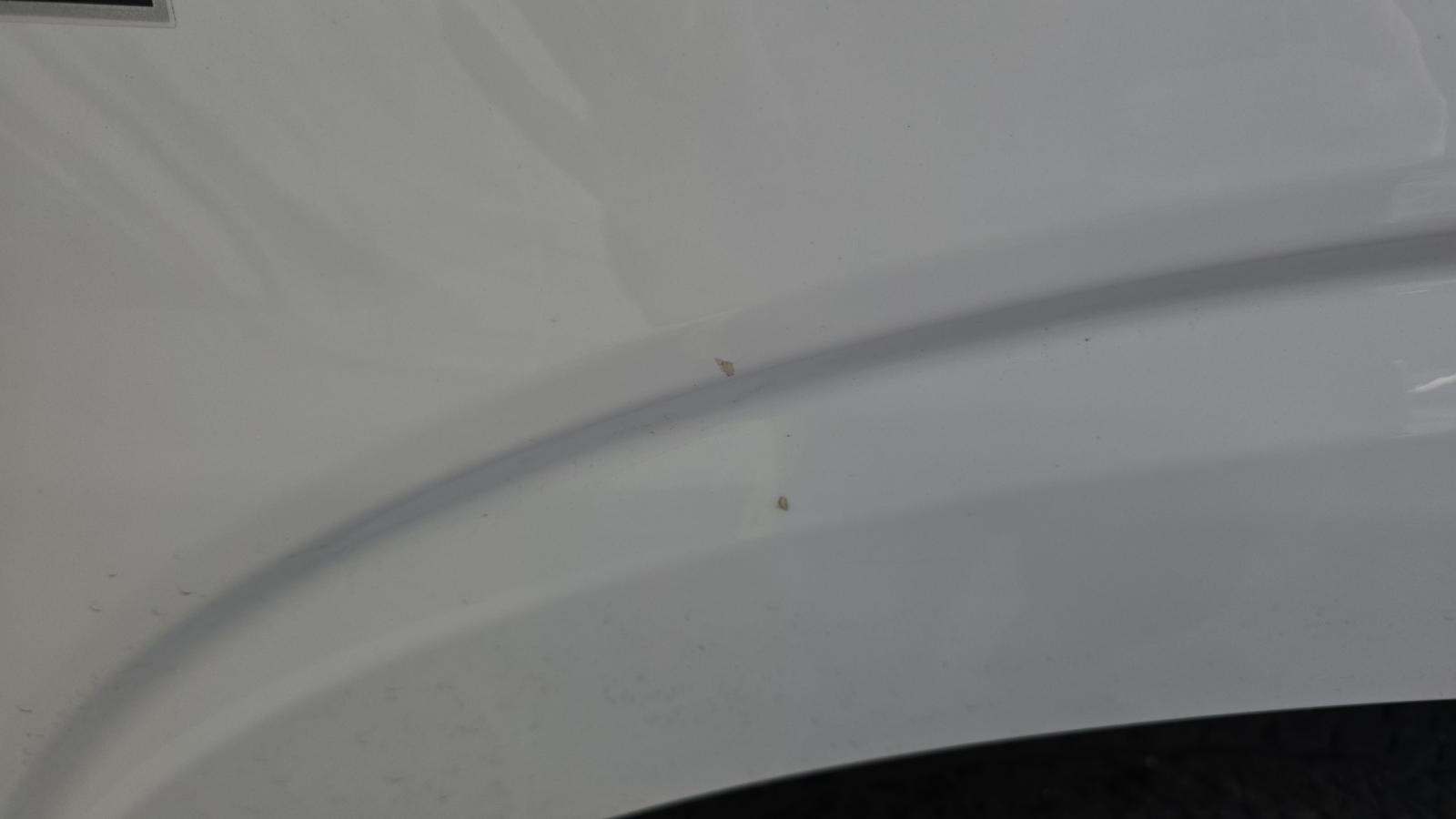 2024 Ford F-150 STX AWD