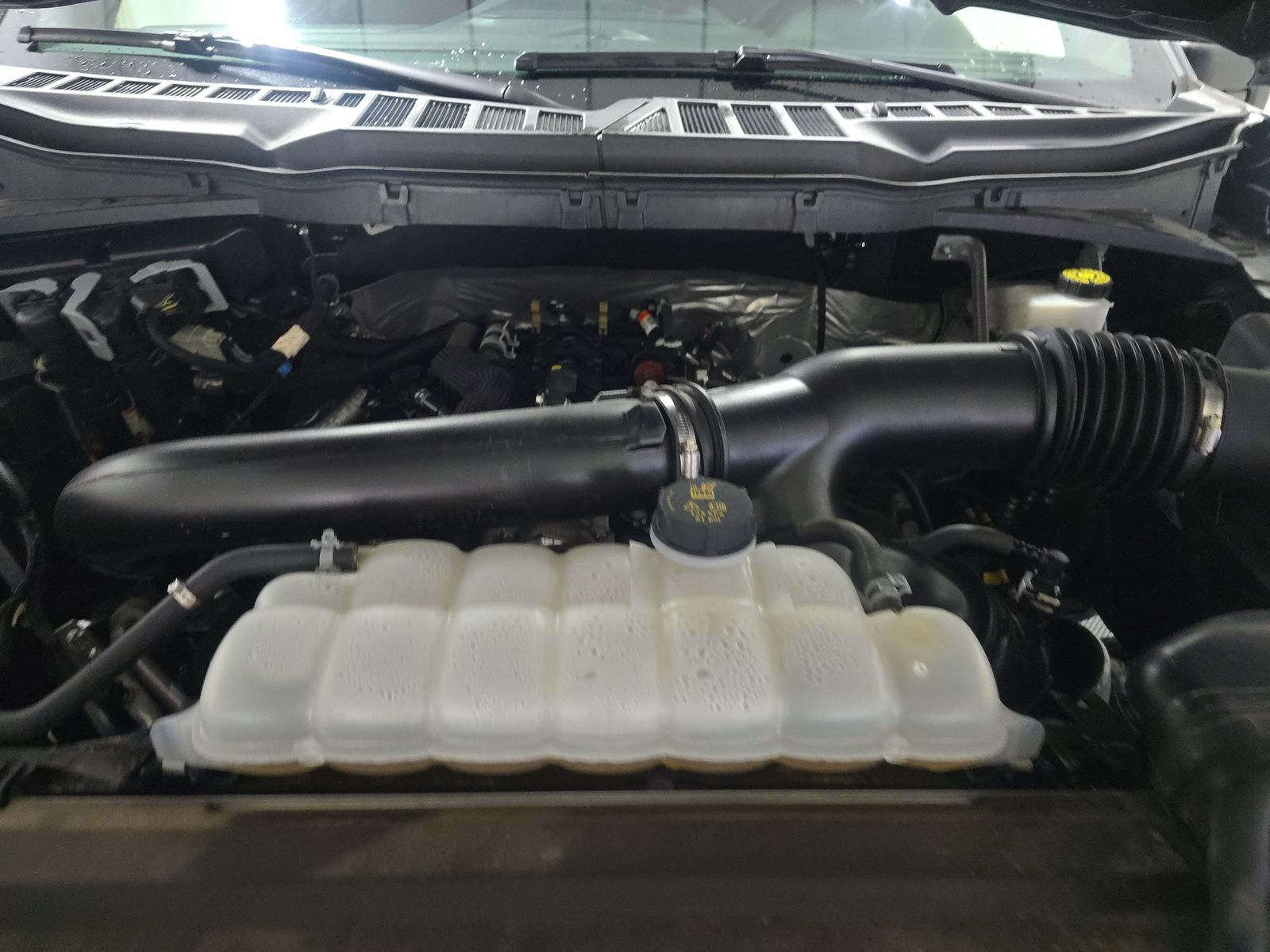 2024 Ford F-150 XLT AWD