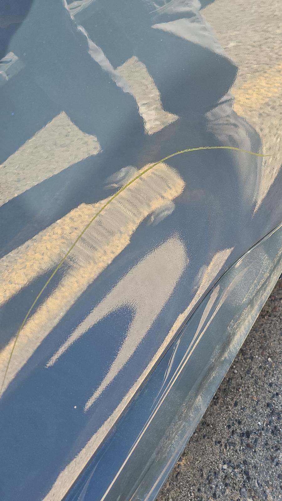 2023 Ford Escape ST-Line Select AWD