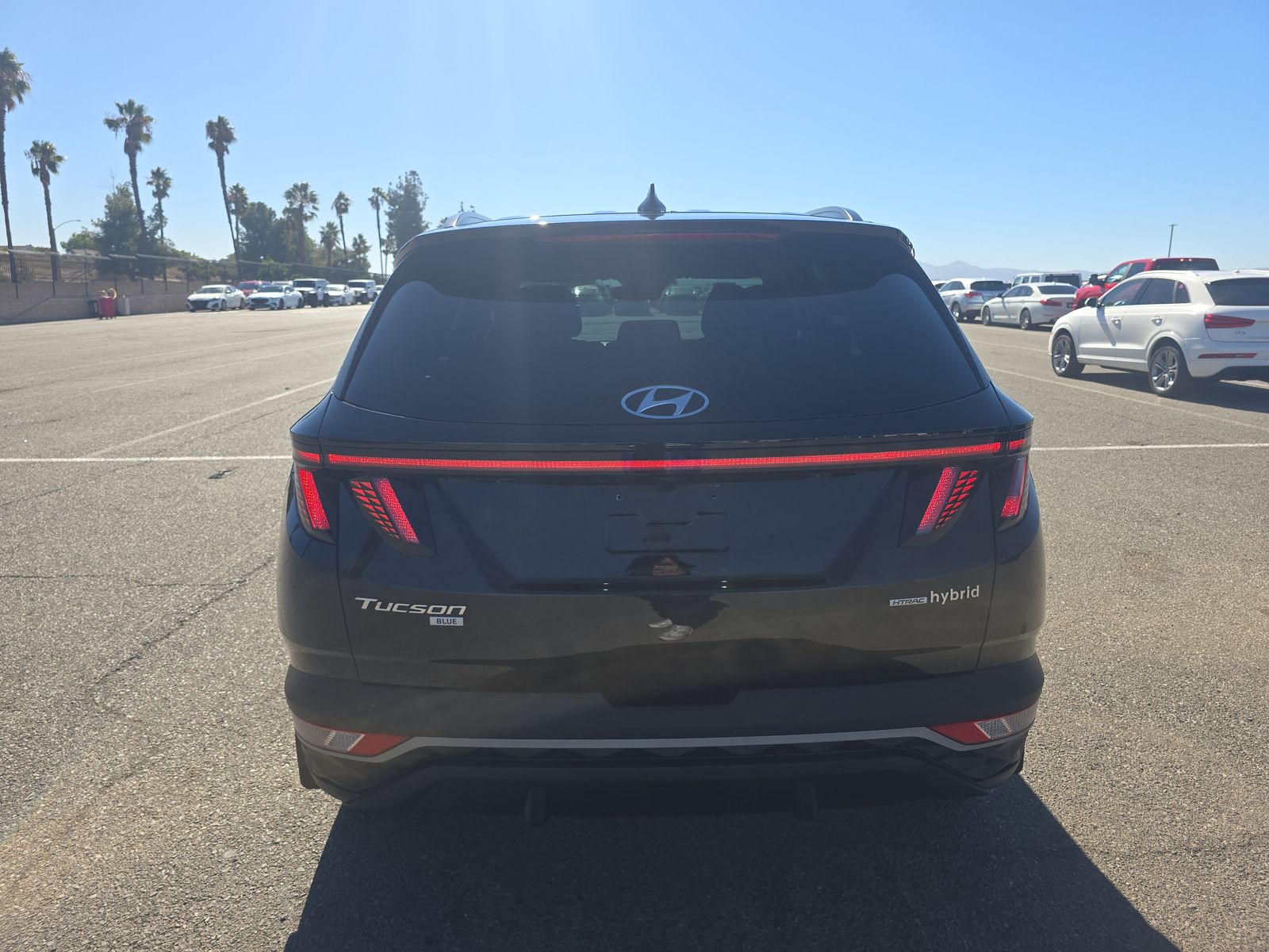 2023 Hyundai Tucson Hybrid Blue AWD