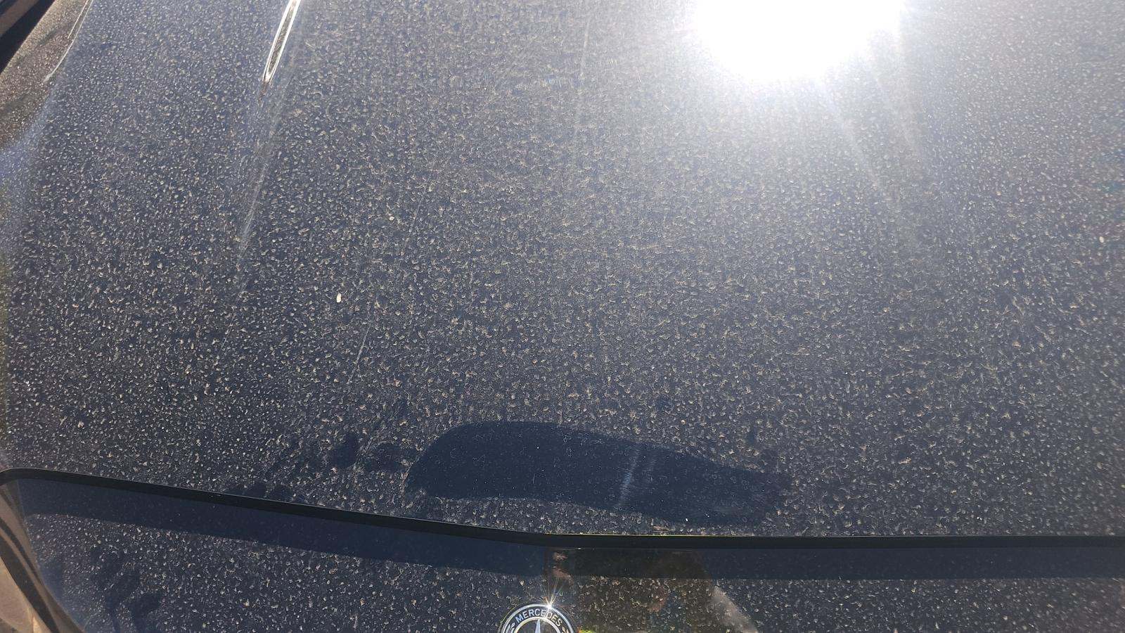 2022 Mercedes-Benz C-Class C 300 RWD