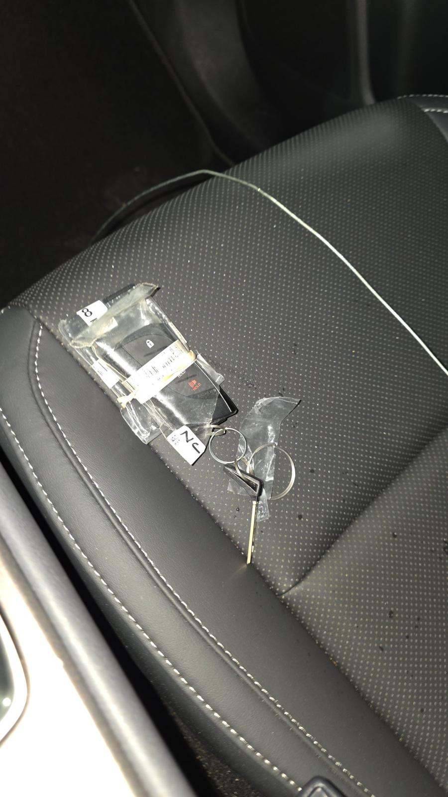 2025 Lexus NX NX 250 Premium AWD