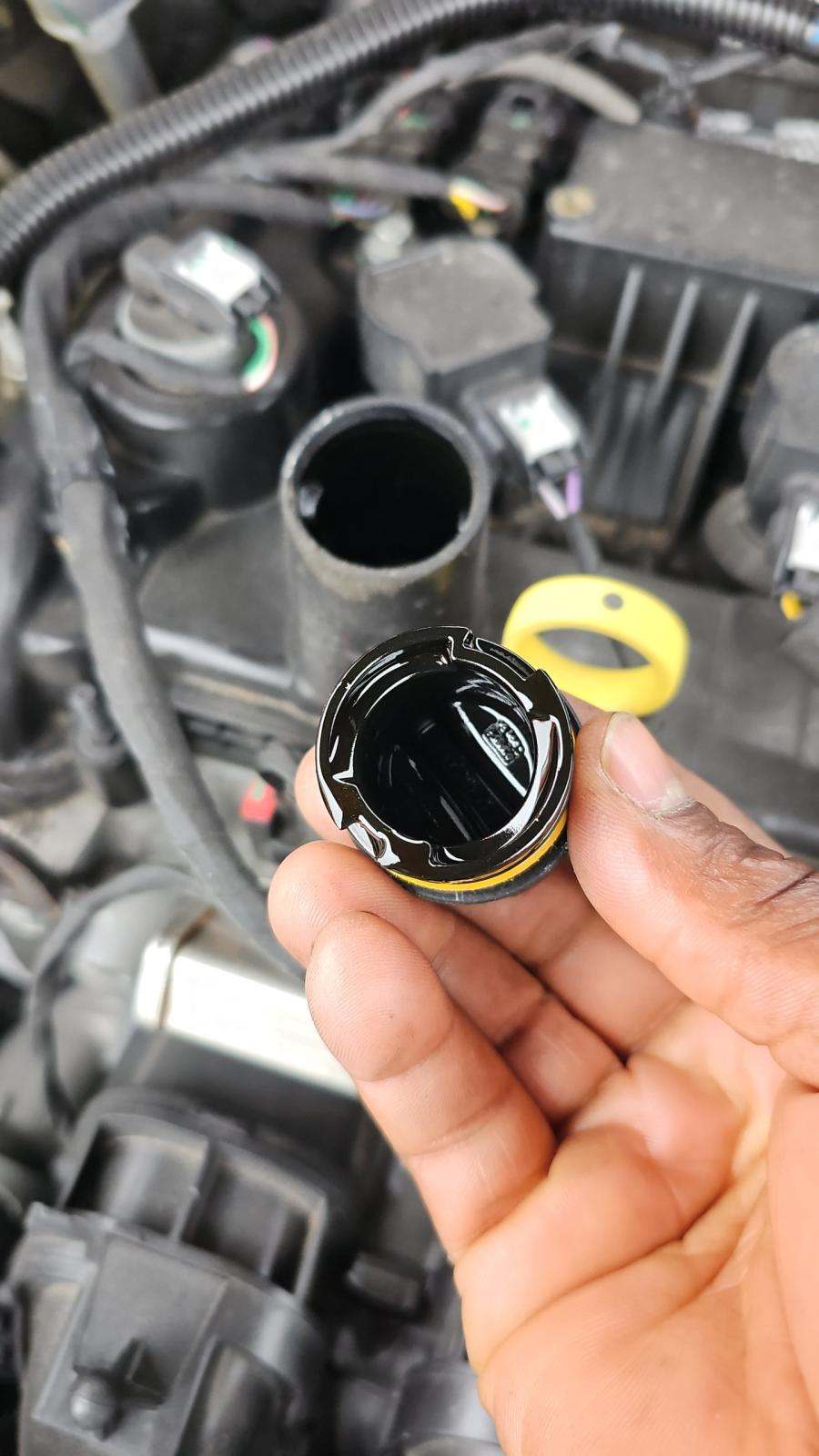 2025 Ford Escape Hybrid ST-Line Elite AWD